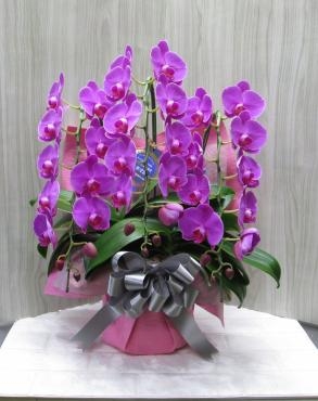 本日のお届け商品「美園フラワー」（北海道札幌市豊平区の花屋）のギャラリー写真